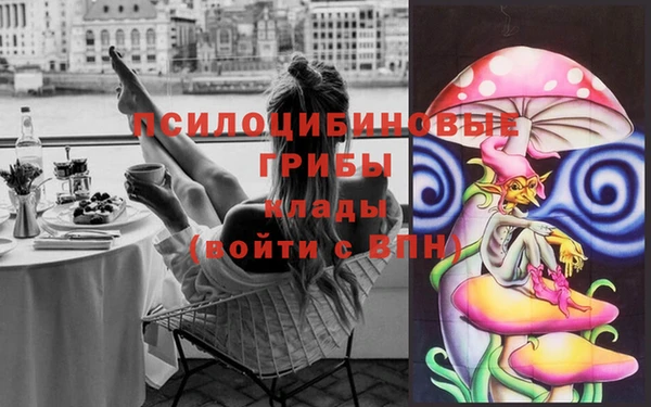 прущие крисы Баксан