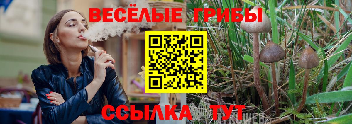 Дедовск  Галлюциногенные грибы мухоморы  Вход с VPN 